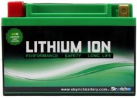 описание, цены на Skyrich Lithium Ion