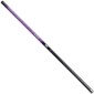 Brain Apex Pole 500