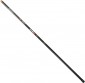 Brain Apex Pole 600-30