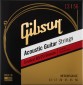 Gibson SAG-CBRW13
