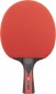 Joola Carbon Speed