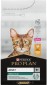 Pro Plan Adult Renal Plus Chicken 10 kg