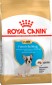 Royal Canin French Bulldog Puppy 1 kg