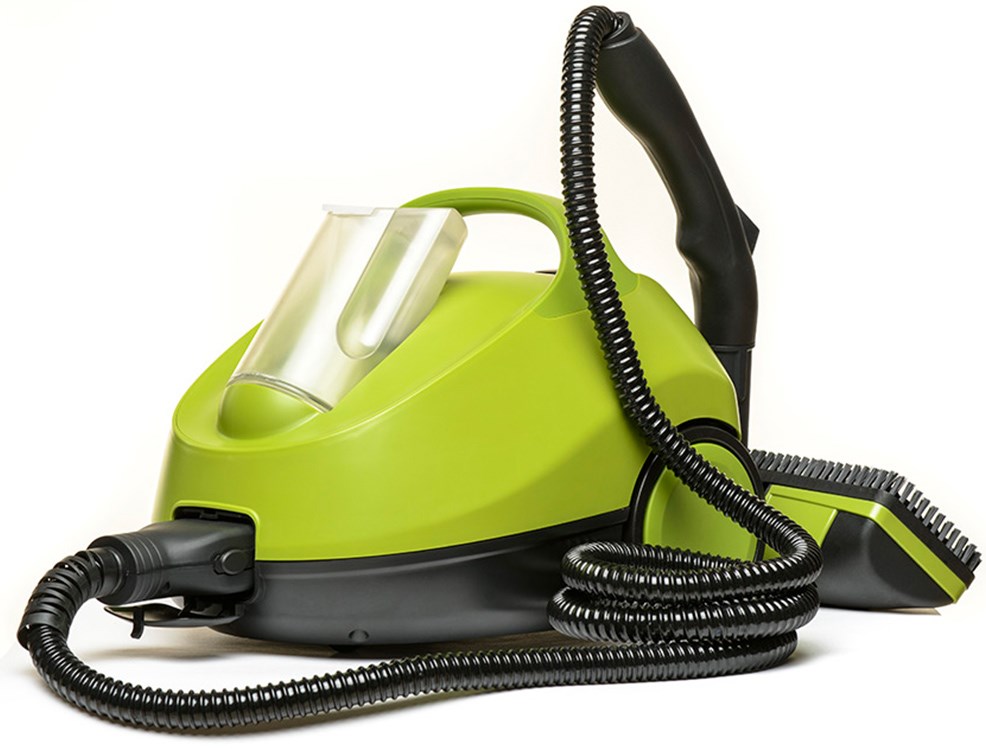 Best Steam Cleaner To Kill Fleas at Ann Wright blog